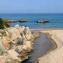 양지-3356 이미지