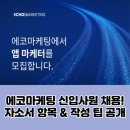 에코마케팅 신입사원 채용! 자소서 항목 &amp; 작성 팁 공개 (2025)