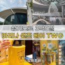 오큘러스 | [싱가포르3박5일] 마리나 샌즈 베이 (레인 오큘러스), TWG tea 테이크아웃 후기