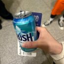 월드베가 | "메가베가스 2026" Day 1 일본 페스티벌 후기: MEGAVEGAS 2026