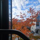 피지컬GYM | 우송대헬스장, 피지컬GYM 에서 피티 수업들어요