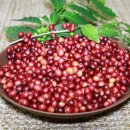 김영일 농장 이미지