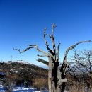 덕유산 종주 산행 이미지