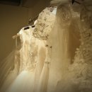 마이도터스 이미지