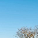 호로고루 화장실 이미지