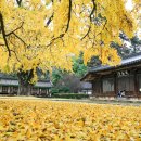 전주향교 이미지