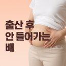 백선세탁 | [수원정자동필라테스] 출산후에도 배가 잘 안들어가는 이유