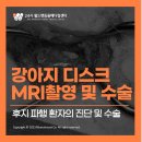 우리메디칼보조기 이미지