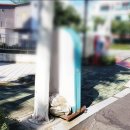 해운대구청 이미지