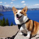 캐치인컴퍼니