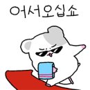 34 | [왕십리 PT/필라테스] 원더바레 33&amp;34 회 후기🔥