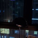 스테이세무회계 이미지