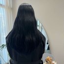 비요헤어