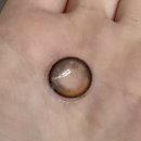 푸른숲안경원 이미지