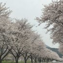 홍성 오서산공영주차장 이미지