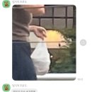 복권으로 대박 터질 줄 알았더니 입만 터짐