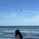 바다아리 | 다낭여행 - 미케비치 해변 바다수영, 핑크성당, 아리스파 후기