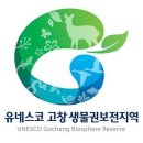고창굼벵이