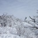 눈덮인 계방산으로 떠나봅시다~~~^^* 이미지