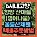 청양청정농원 | KBS 6시 내고향 충남 청양 산마늘(명이나물)울릉산채원 산지직송 택배주문 방법