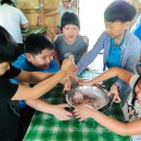 미르목장 이미지