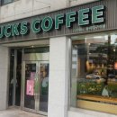 스테이인아트