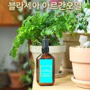 자인코스메틱 | 미용실헤어오일 블라세아 아르간오일 헤어세럼 에센스 추천