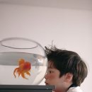 younger(영거) 이미지