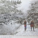 신정할인마트 이미지