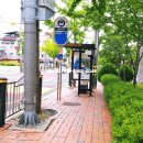 영남공인중개사 앞 횡단보도 | 경산 계양동 원룸 매매 엘베있는 만실컨디션, 말도 안되는 수익률 말도 안되는 초급매