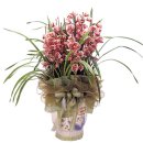 MS공인중개사사무소 이미지