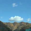 숲속의 예쁜별 이미지