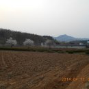 수곡농장 Daum카페