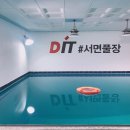 사직실내수영장 | 부산 프리다이빙 입문 완벽 가이드 - 실내 수영장 4곳 총정리