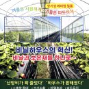 안이하우스 이미지