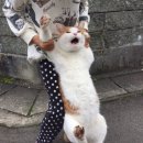 굳뉴스