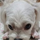 개중목욕탕 이미지