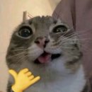 김재옥길 | [🤑내돈내산💸] 공기업 토익 인강 추천 6트만에 🌟 930에서 985 달성 🌟 (feat. 김재옥토익)