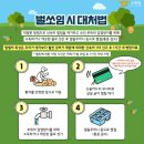 일일구(119) | 추석 성묘나 등산 시 필수 상식 벌 독 알레르기 반응 확인과 긴급 구조 요령