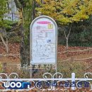 매탄초등학교 이미지