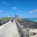 야시다방 | 20251002-20251008 추석연휴 여행 : 11편 - 제주 동문시장 전복김밥 / 부산행 비행기