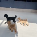 똑독트레이닝스쿨 이미지