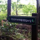 머체왓숲길