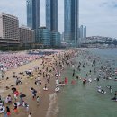 해운대 - 해운대구 세실로69번길 15 | 해운대