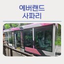 흑곰 | 에버랜드 사파리 후기: 호랑이·흑곰·사자·하이에나 관람 팁