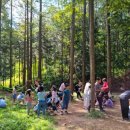 영덕야성초등학교 이미지