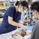 충남야생동물구조센터 | 충남야생동물구조센터