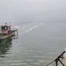 병기호 좌대낚시터 이미지
