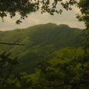 강원건강원 - 안성시 중앙5길 20 | 강원건강원