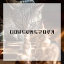 드로잉 기초 이미지